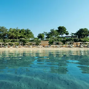 trikorfo-beach.hotelschalkidiki.net/